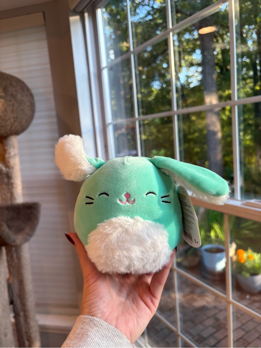 Sammy the blue teal green bunny Squishmallow Easter edition 5in NWT OG